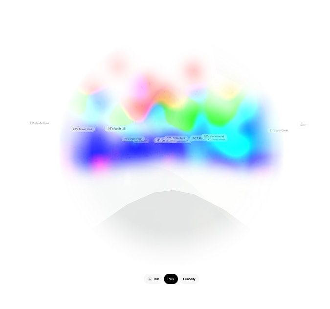Image Asset