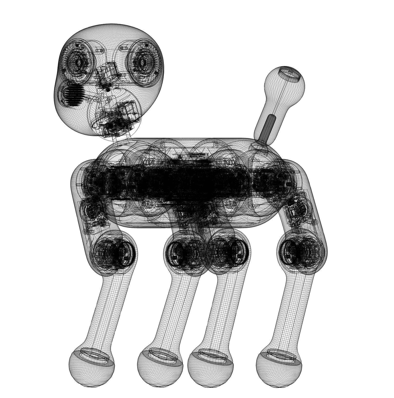Image Asset