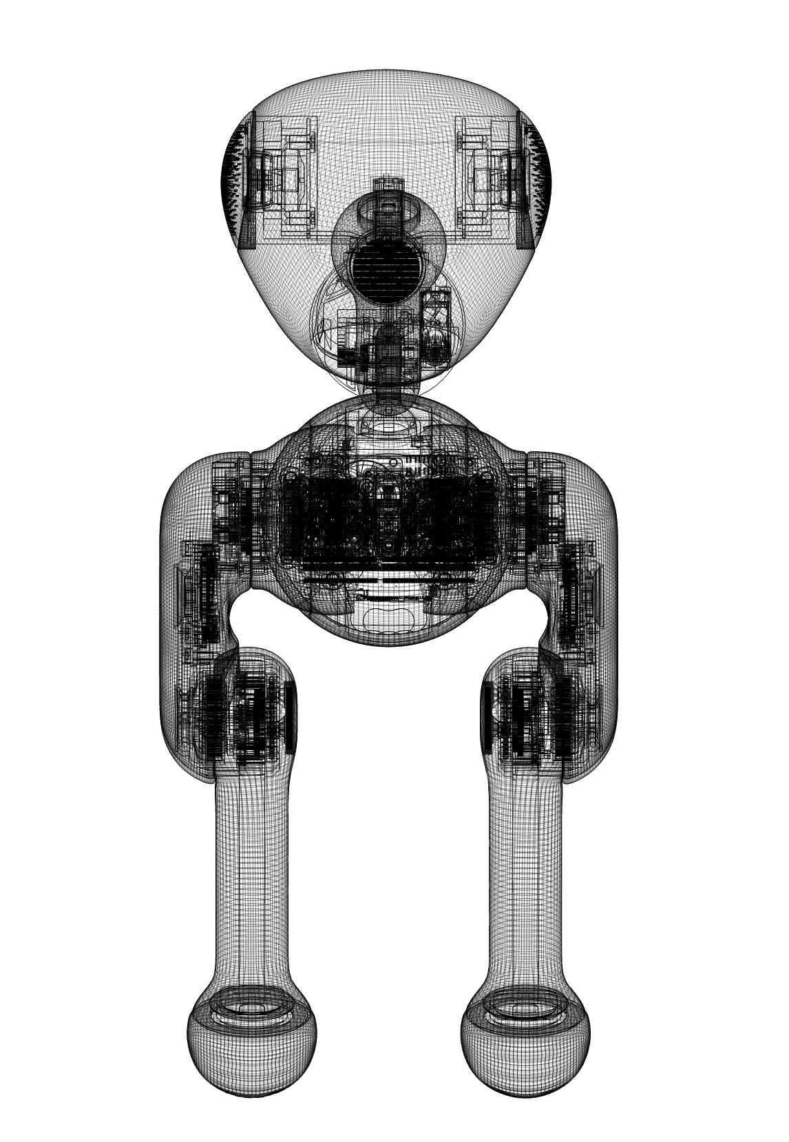 Image Asset